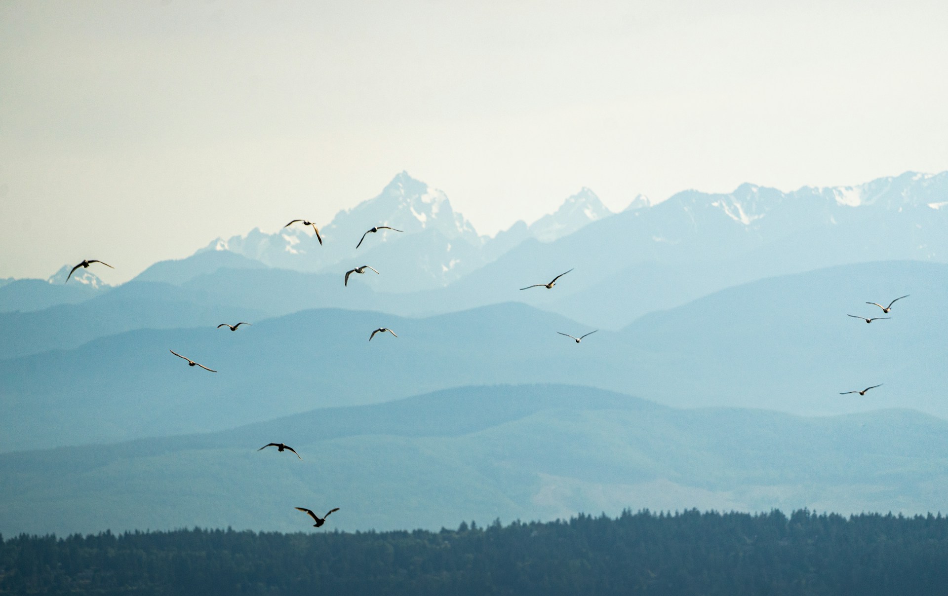 The Impact of Artificial Intelligence on Healthcare